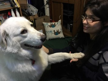 Obituary of Kalen Lei Perez