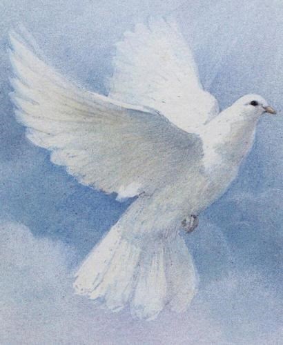 Obituary of Henry Rico Aldaco