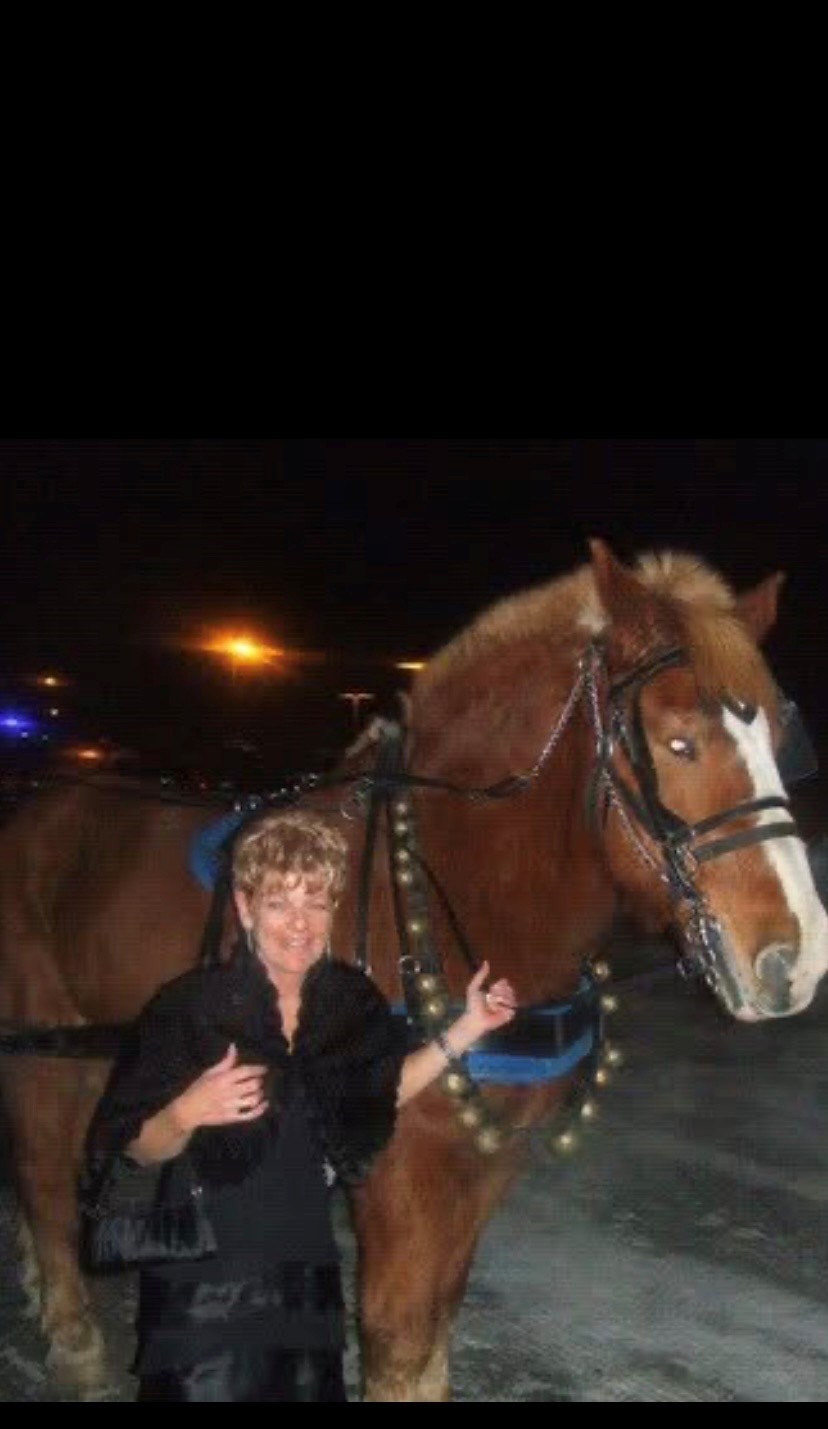 Obituary of Sharon Ann Lovric