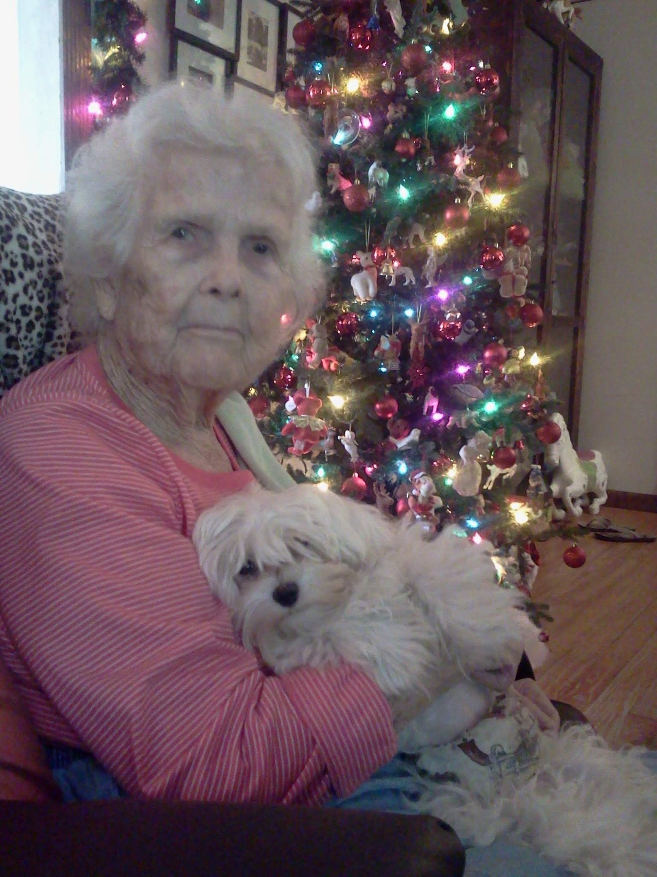 Ida Lee Peters Obituary Sarasota, FL