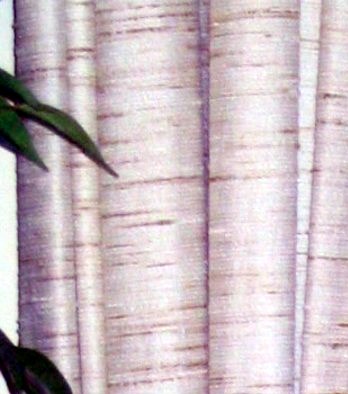 Blake Lamb Funeral Home Obituaries