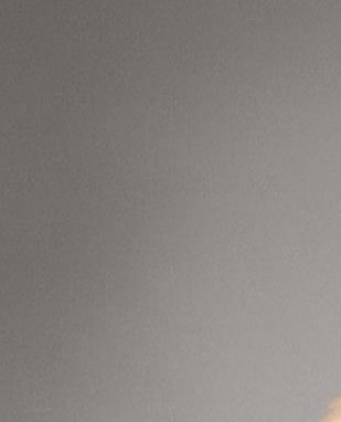 Steven Wolf Obituary - Seminole, FL