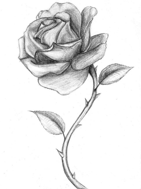 Obituary of Ava Jo Almand Hazel McBride