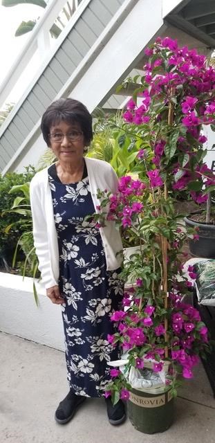 Obituary of Dorothy Junko Ishii Bryant