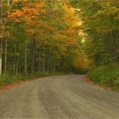 Obituary of Gladys White