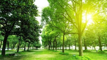 Obituary of Richard Flohr Sr.