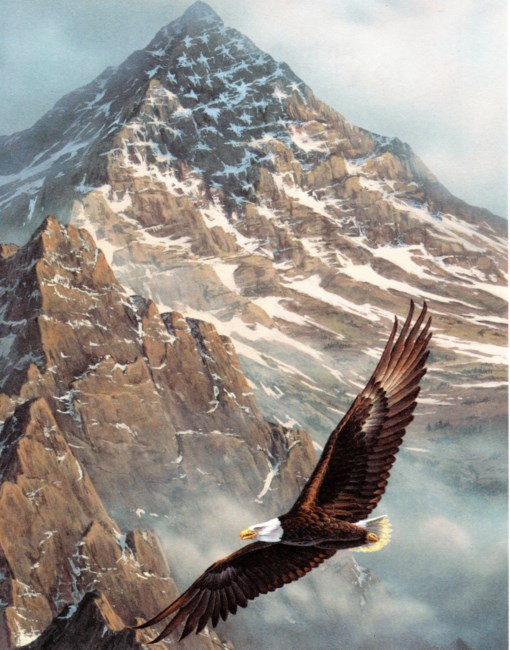 Obituary of Robert Thomas Myers