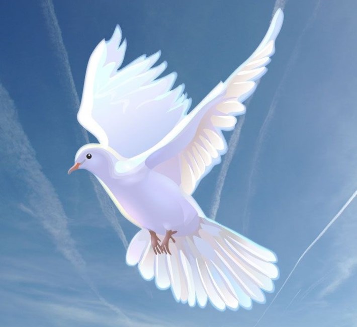 Obituary of Mark Stevenson