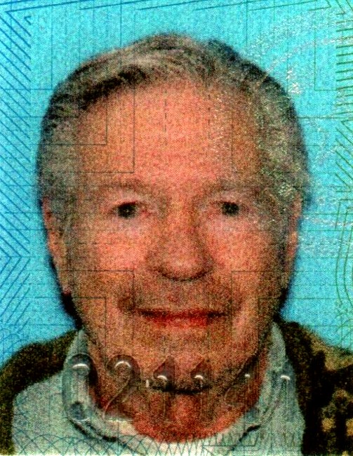 Obituary of Robert Louis Carlin