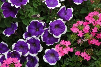 Obituary of Richard Hoff