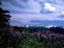 Obituary of Sylvia C Worth