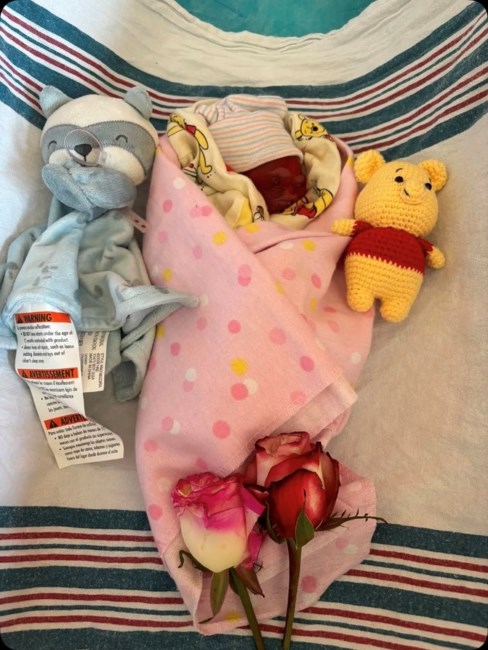 Obituary of Eliana Maë Flores