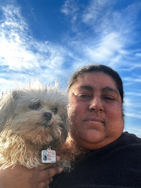 Obituary of Donna Joann Pacheco