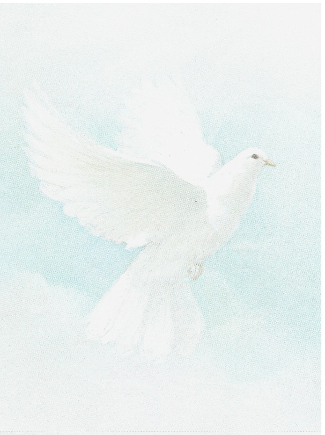 Obituary of Elaine C. Devine