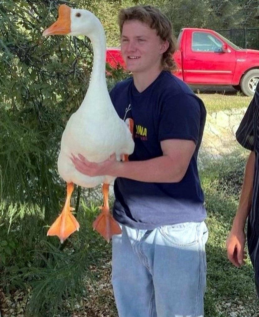 Andrew Clayton Johnson Obituary Austin, TX