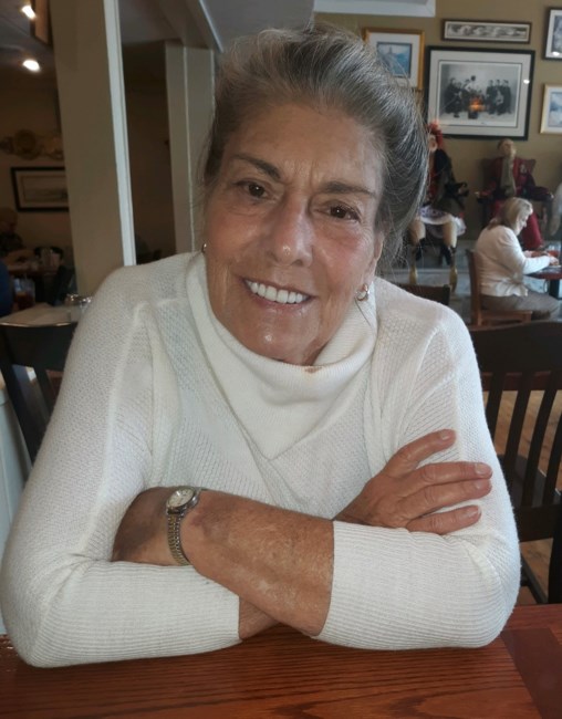 Susan "Jan" Jananne Carr Borneman Obituary Fairfax, VA