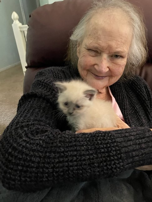 Obituary of Donna Rae Allen