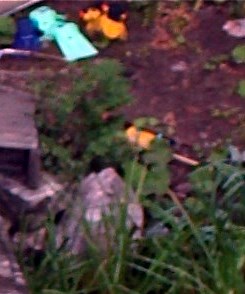 André Richer Obituary - Montreal, QC