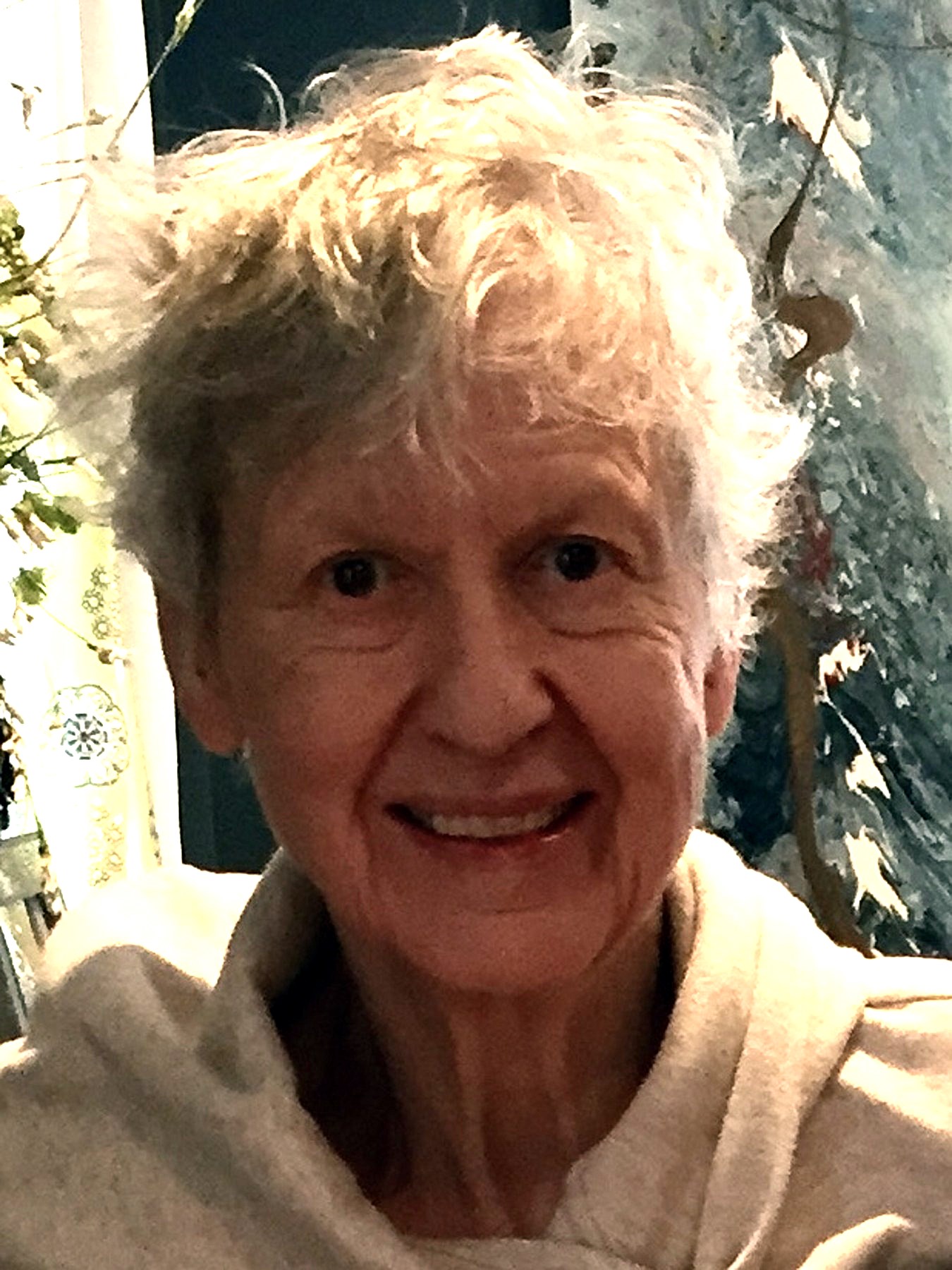 Susan Johnson Obituary Everett, WA