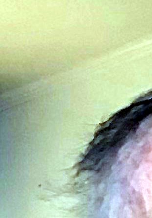 Charles Miles Obituary - High Point, NC