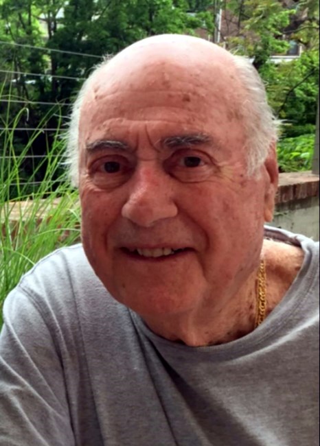Obituary of Norman Arthur Ganz