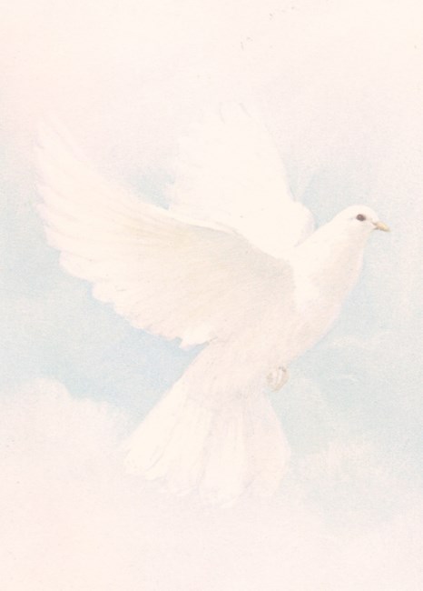 Obituary of Mariah Gabrielle Brandenberger