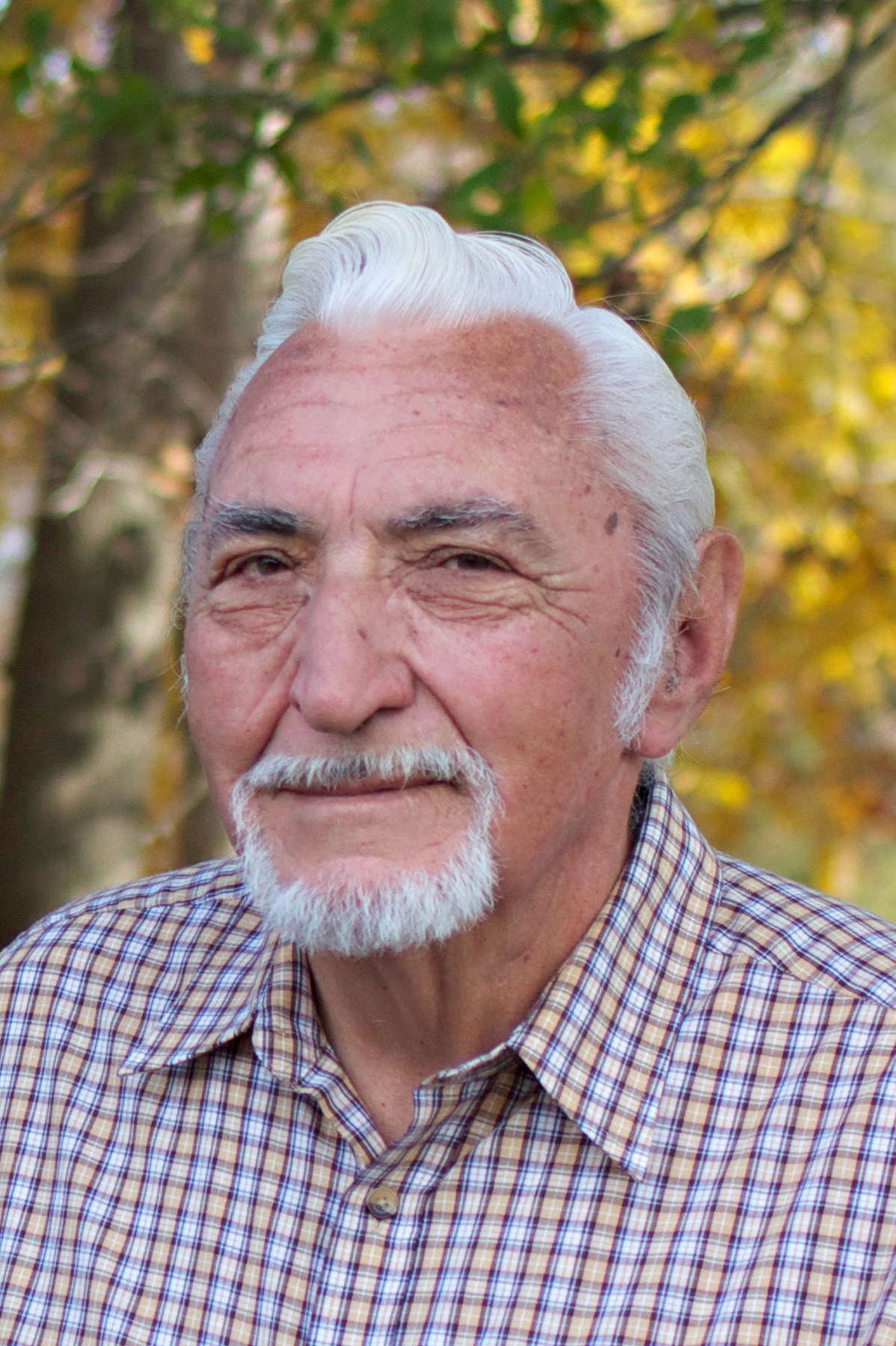 Ray Hendrix Obituary Arnold, MO