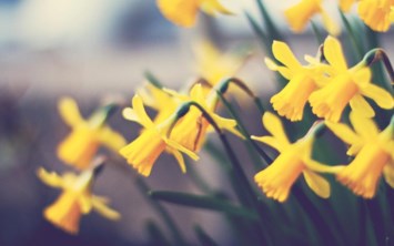 Obituary of Katherine Kelly