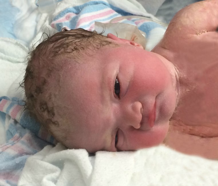 Obituary of Harper Grace Forrester