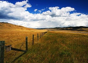 Obituary of Richard Roy Lewis