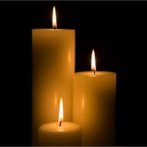 Obituary of Timothy S. Williams