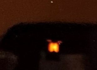 Joseph "Joe" Linder Farrell Obituary Raleigh, NC