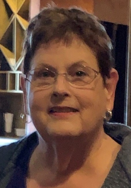 Obituary of Sandra Lee Hollows