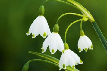 Avis de décès de Lowell Thomas Byers