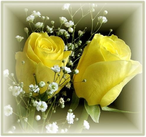 Avis de décès de Cameron Charlene Taylor