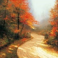 Obituary of Nick Lee Sparagno