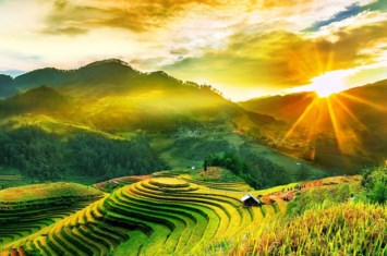 Avis de décès de Hai Frank Nguyen