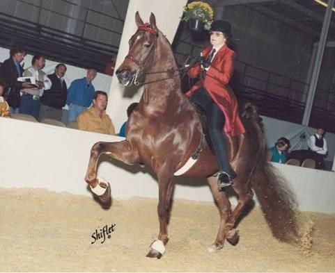 Obituary of Jayne Harris Stephenson