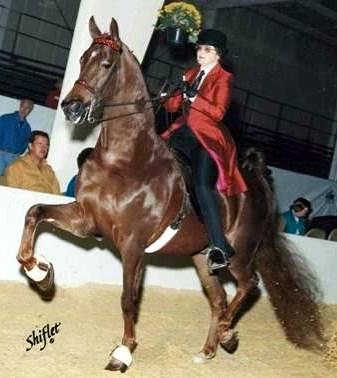 Obituary of Jayne Harris Stephenson