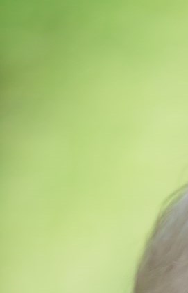 William Rabel Obituary - Northport, AL