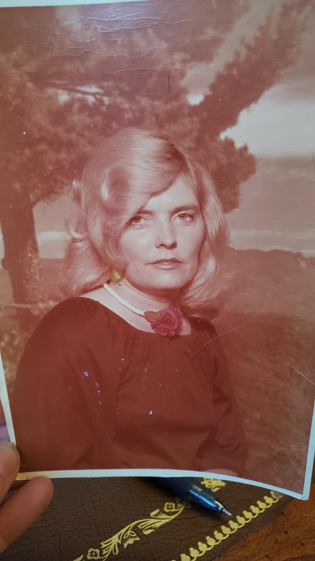 Obituary of Virginia Stokes