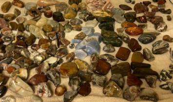 Obituary of Donald Henry Rein