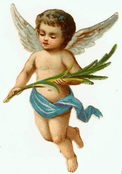 Obituary of Marcus Wilson Cruz