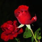 Obituary of Victor Manuel Hernandez