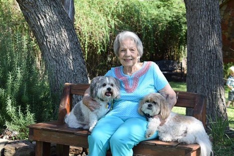 Obituary of Jo Ann Collins Somers