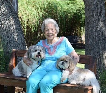 Obituary of Jo Ann Collins Somers