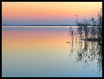 Obituary of Sadie Orbacz