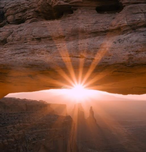 Obituary of Beverly Nielson Busch