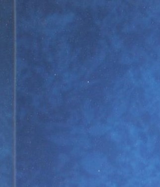 Hector Gomez Diaz Obituary Tampa, FL