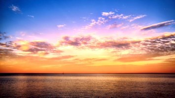 Obituary of Jose Rodriguez Rosales